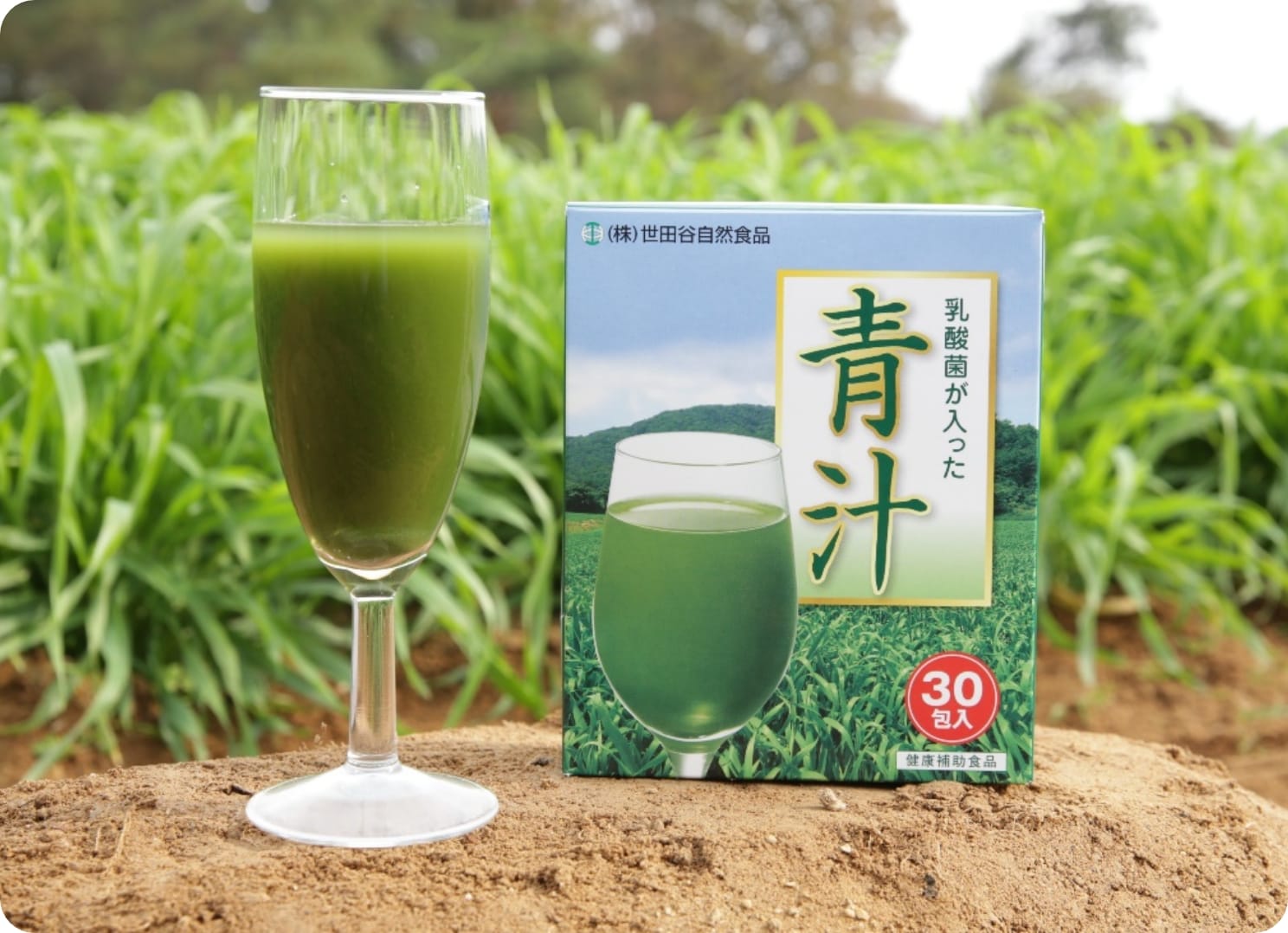 世田谷自然食品「乳酸菌が入った青汁」の商品写真